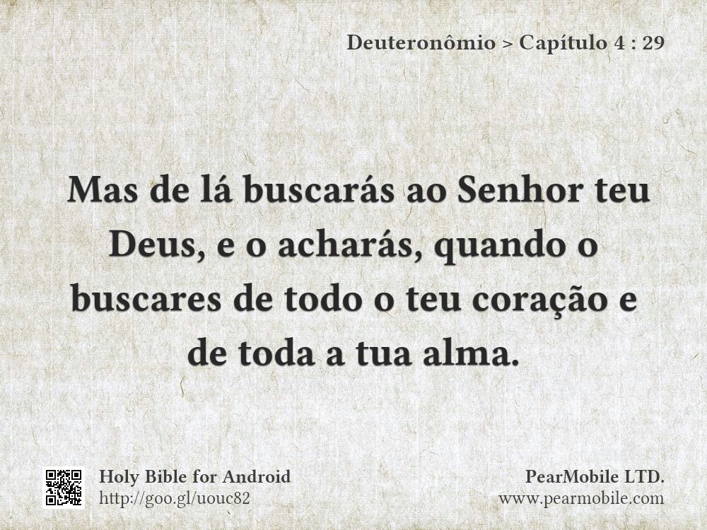 Deuteronômio, Capítulo 4:29